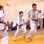 Seminar realnog aikidoa ZRENJANIN 2014