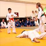 Seminar realnog aikidoa ZRENJANIN 2014