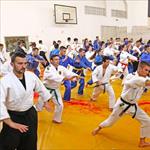 Seminar realnog aikidoa ZRENJANIN 2014