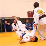 Seminar realnog aikidoa ZRENJANIN 2014