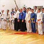 Seminar realnog aikidoa ZRENJANIN 2014