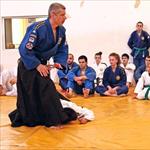 Seminar realnog aikidoa ZRENJANIN 2014