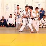 Seminar realnog aikidoa ZRENJANIN 2014