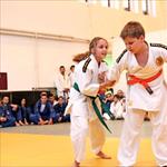 Seminar realnog aikidoa ZRENJANIN 2014