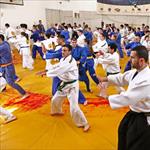 Seminar realnog aikidoa ZRENJANIN 2014