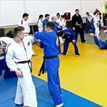 Seminar realnog aikidoa ZRENJANIN 2014