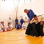 Seminar realnog aikidoa ZRENJANIN 2014