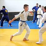 Seminar realnog aikidoa ZRENJANIN 2014