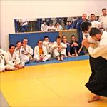 Seminar realnog aikidoa ZRENJANIN 2014