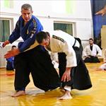 Seminar realnog aikidoa ZRENJANIN 2014