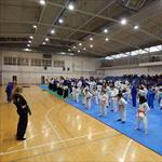 Seminar Realnog Aikidoa, Pirot, 2017