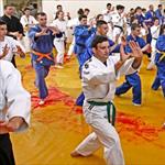 Seminar realnog aikidoa ZRENJANIN 2014