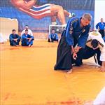 Seminar realnog aikidoa ZRENJANIN 2014