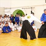 Seminar realnog aikidoa ZRENJANIN 2014