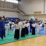 Seminar Realnog Aikidoa, Pirot, 2017