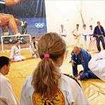 Seminar realnog aikidoa ZRENJANIN 2014