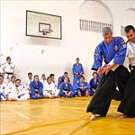 Seminar realnog aikidoa ZRENJANIN 2014